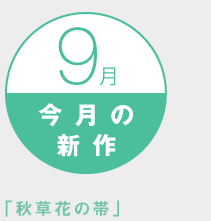 �����̐V��